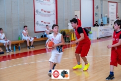 Macerata-Tolentino-Minibasket-13-03-22-106