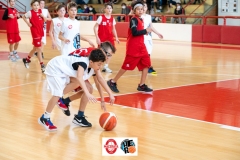 Macerata-Tolentino-Minibasket-13-03-22-25