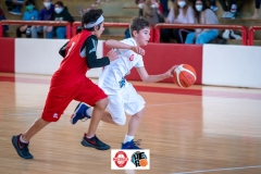 Macerata-Tolentino-Minibasket-13-03-22-37