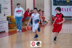 Macerata-Tolentino-Minibasket-13-03-22-79